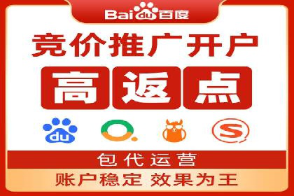 百度竞价价格解析，成功案例分享